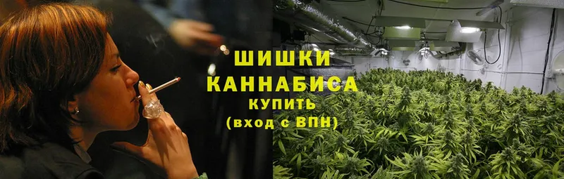 Бошки марихуана White Widow  мега сайт  Бабаево  сколько стоит 